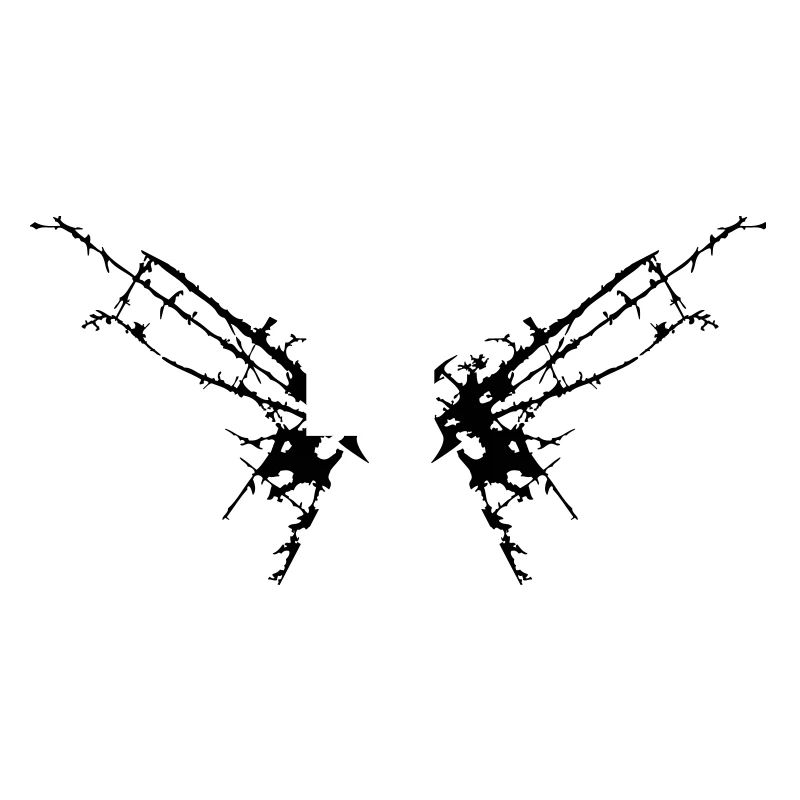 Scratches cracks wing butterfly moth