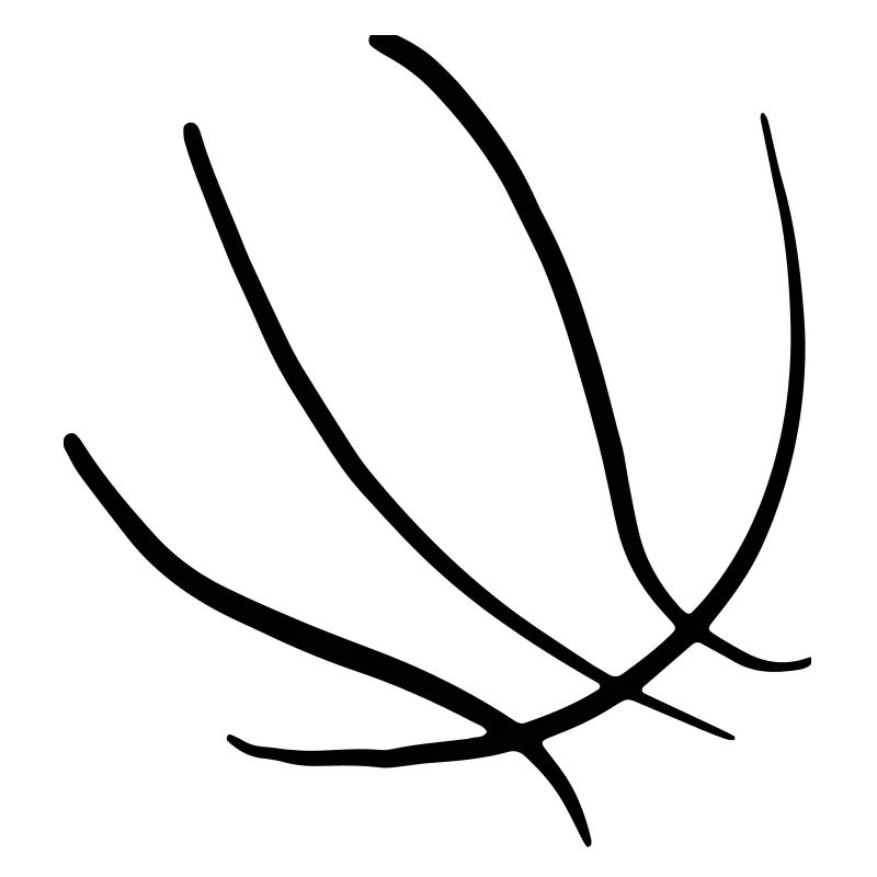 Basketbäll 05 Plan de travail 5