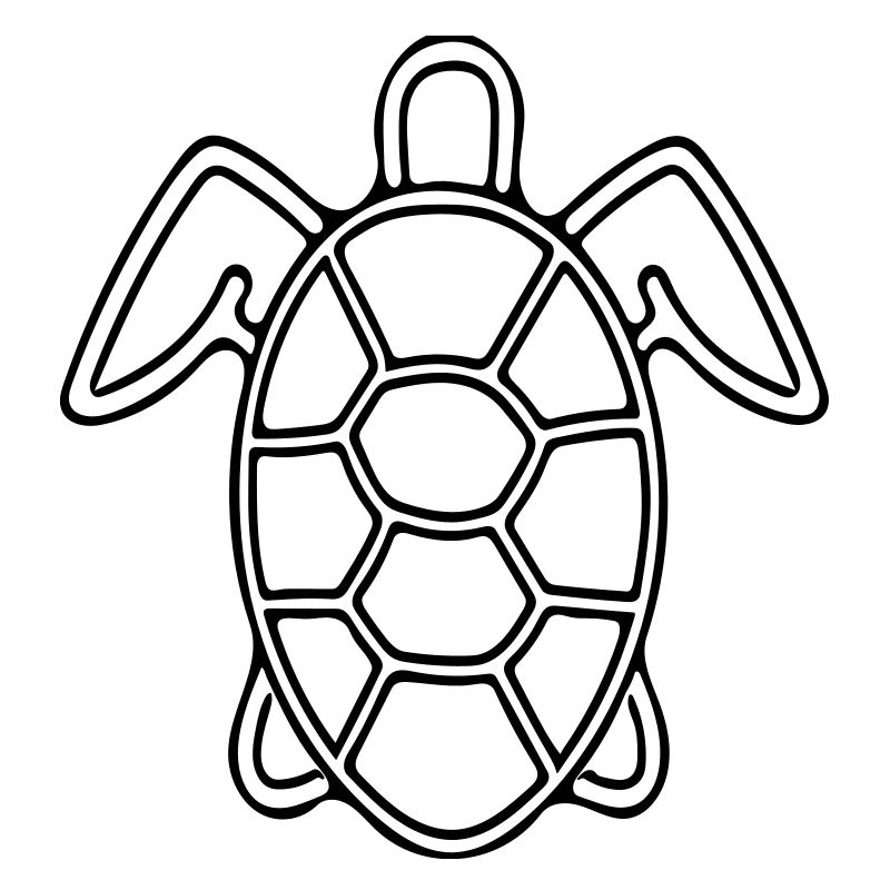 Vector Turtle