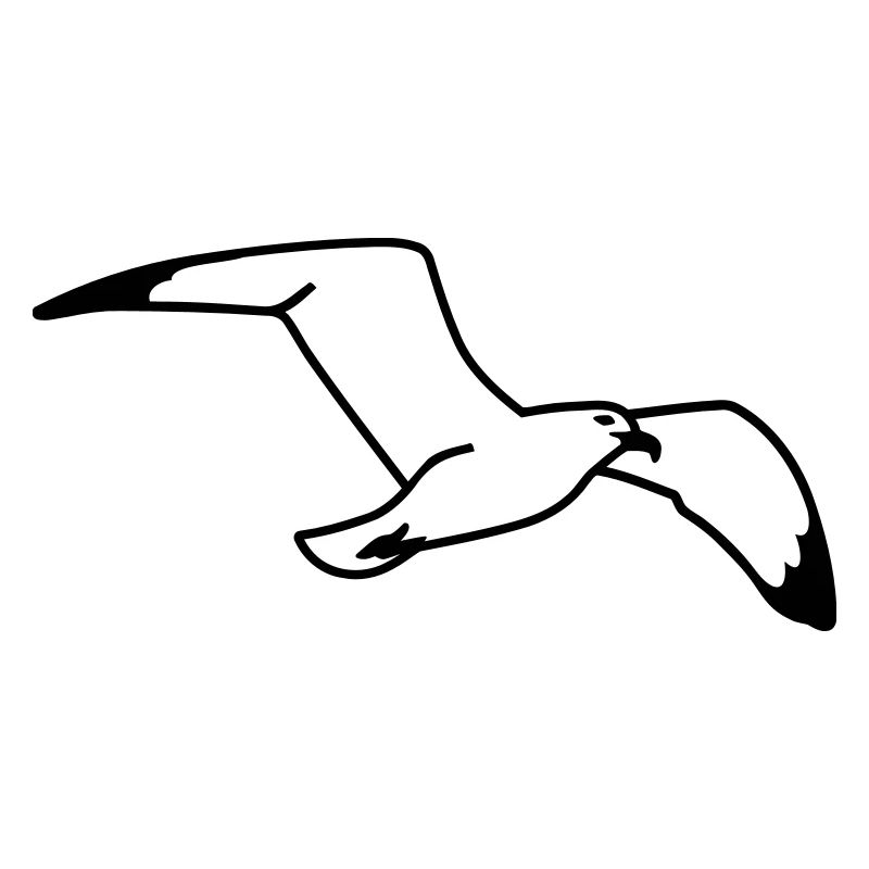 Möwe