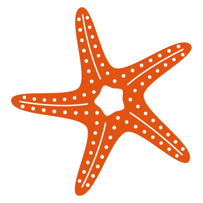 Seestern / See-stern