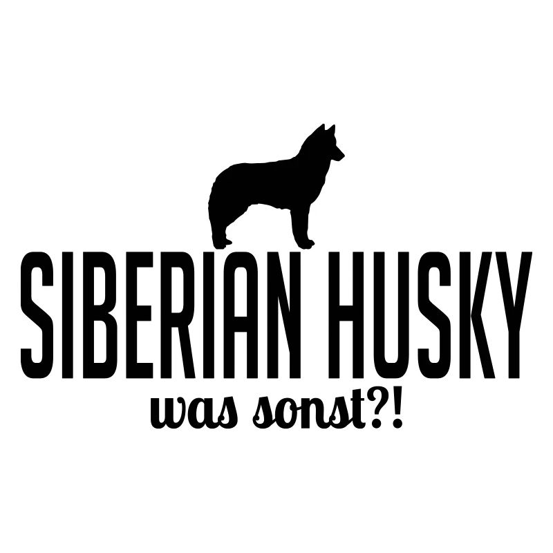 Que HUSKY SIBERIEN