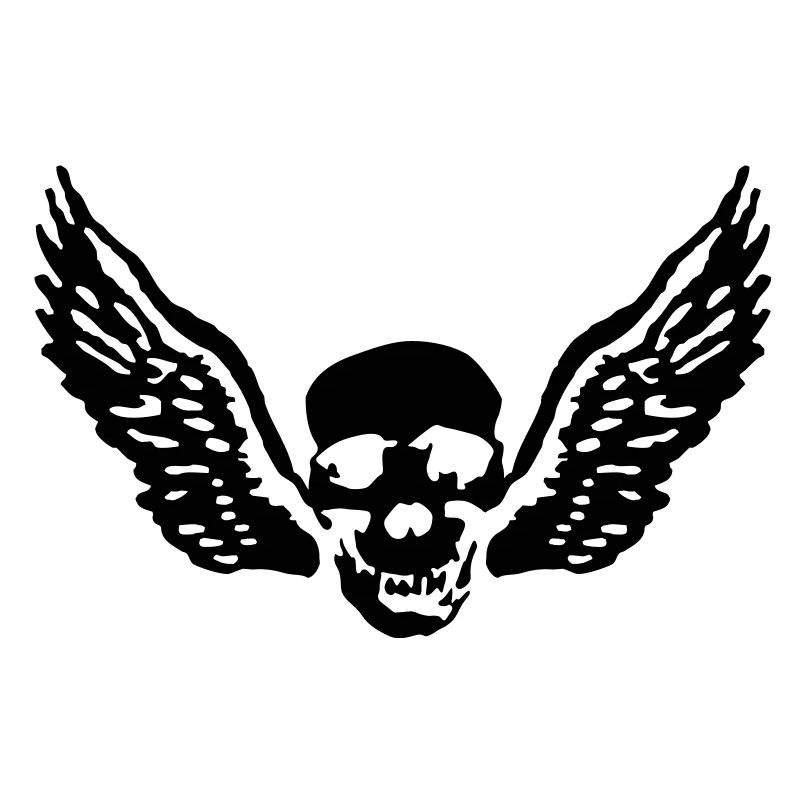 wingskull_092011_c_1c