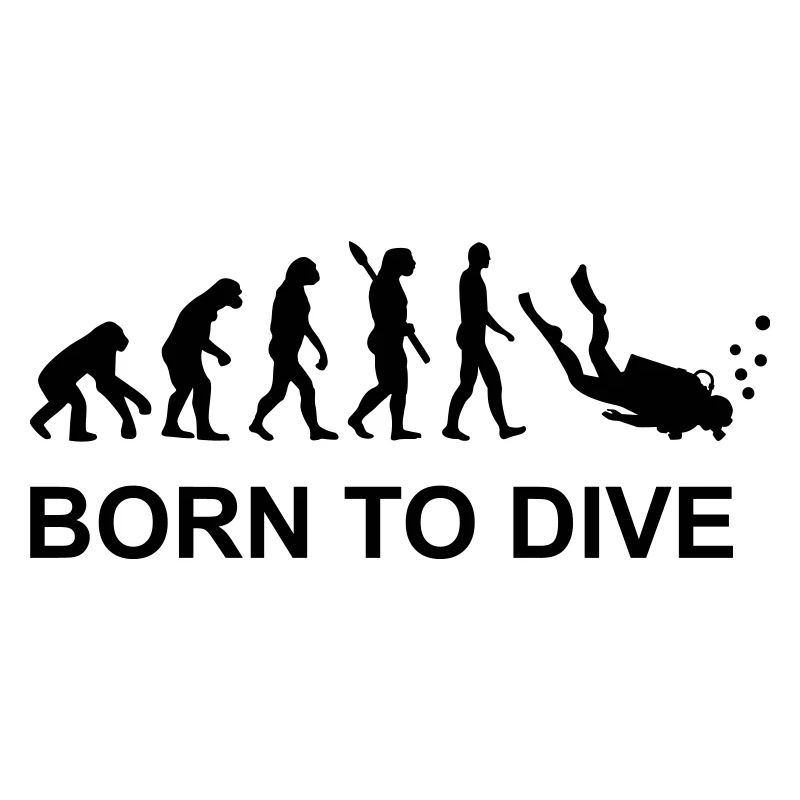 Évolution Plongée