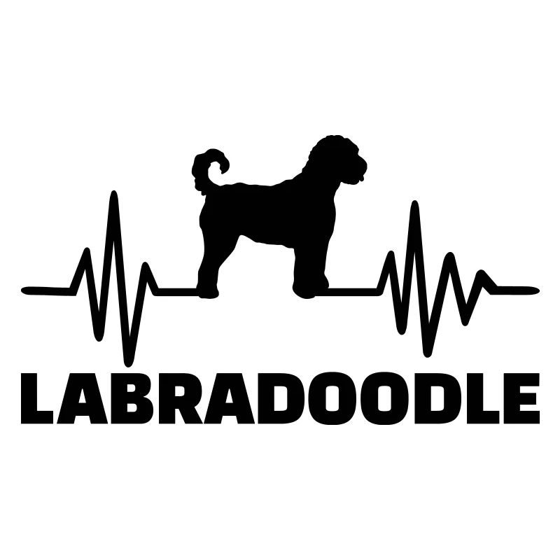 Labradoodle