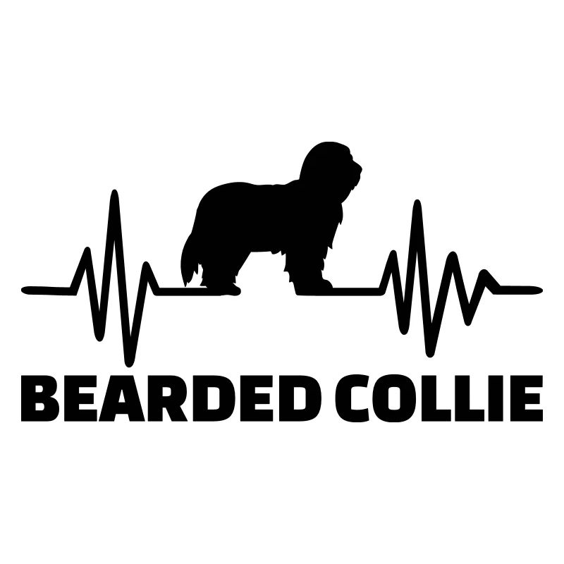 Bearded Collie