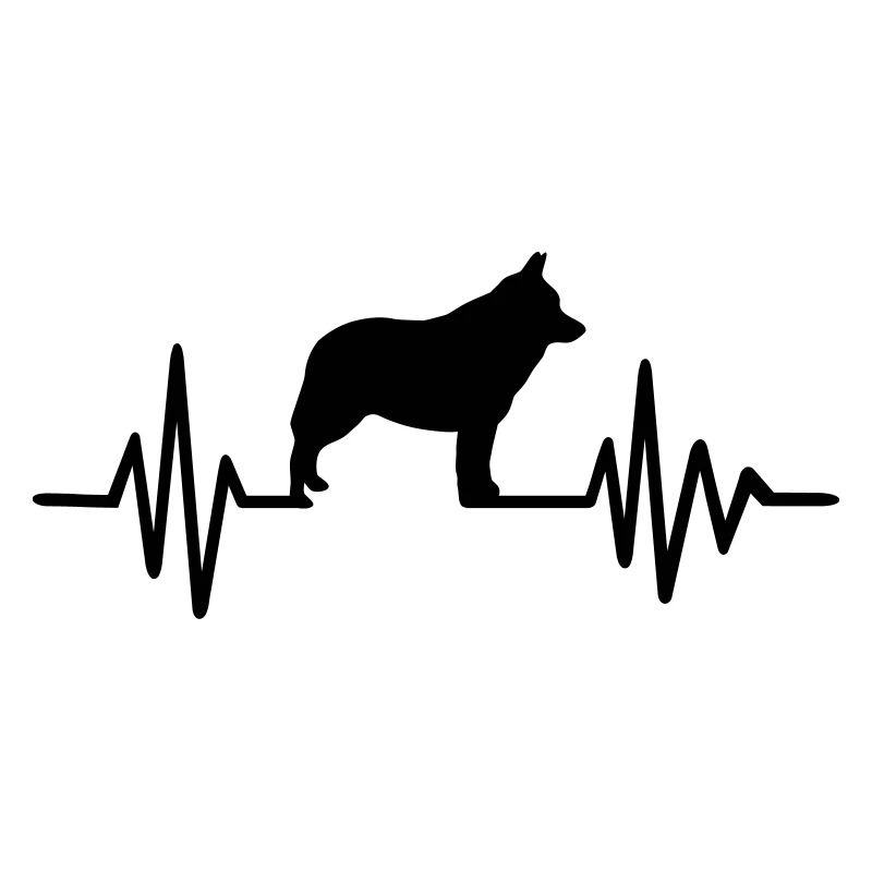 Schipperke