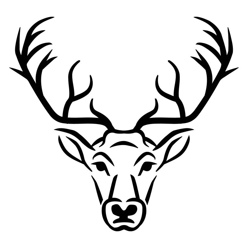 Cerf