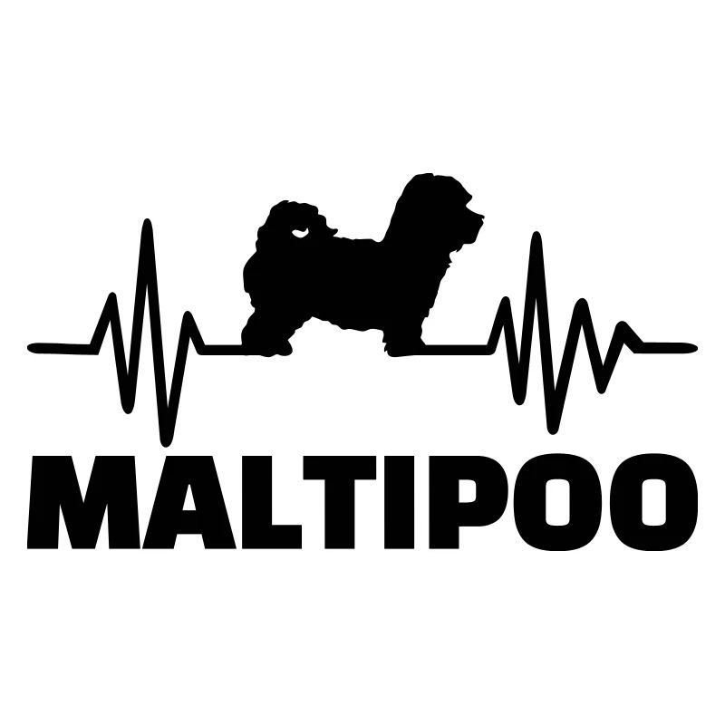 Maltipoo