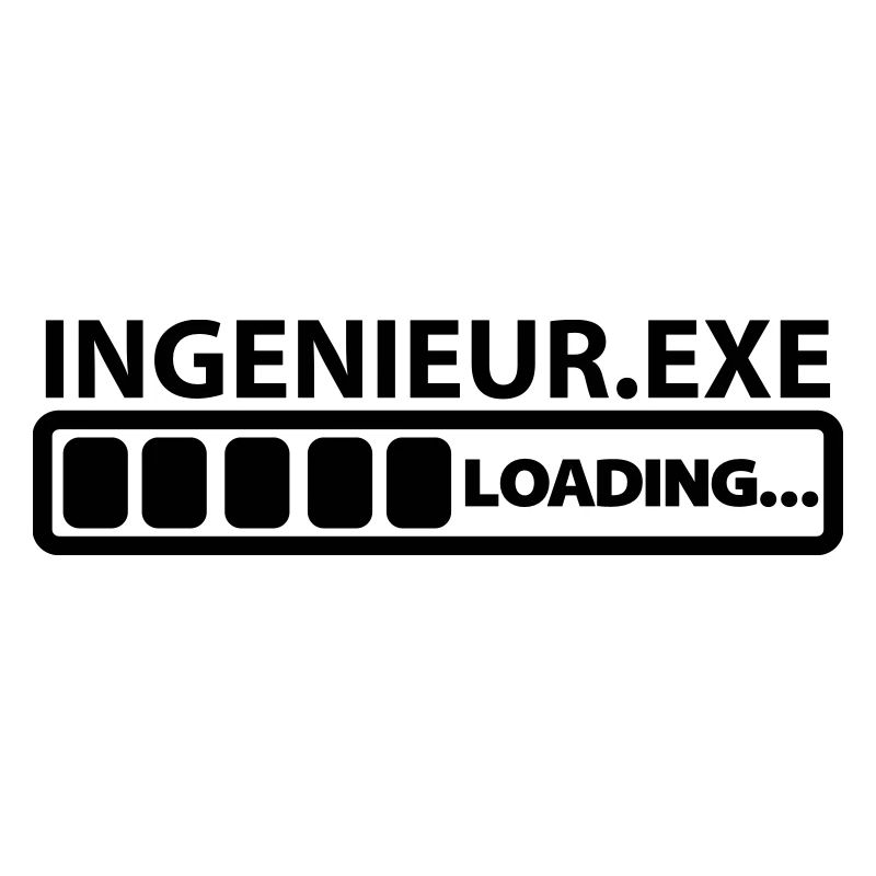 ingenieur exe loading