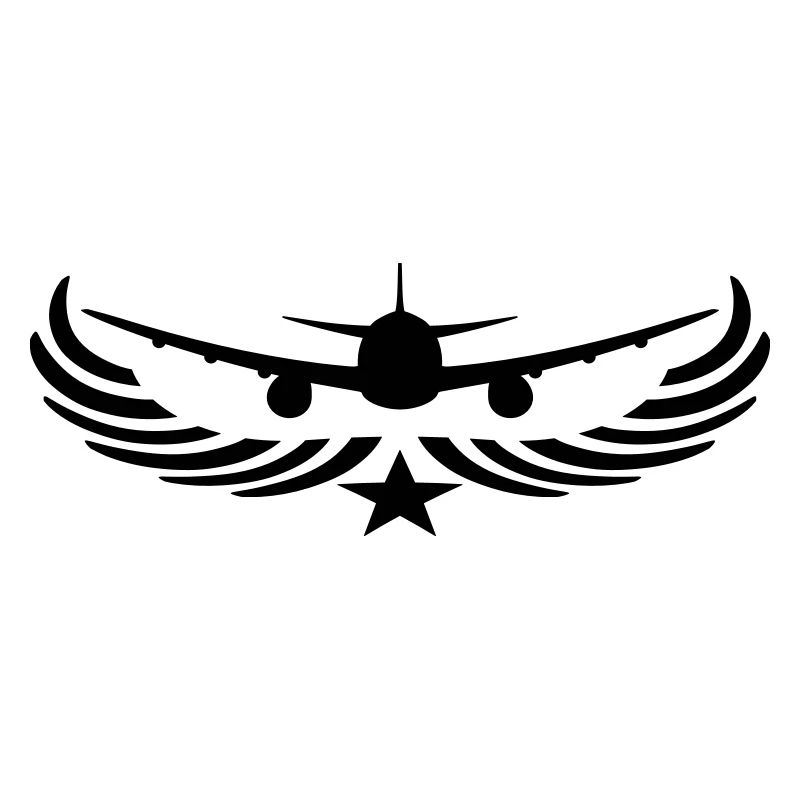 stern wappen vorne front flugzeug fliegen pilot ma