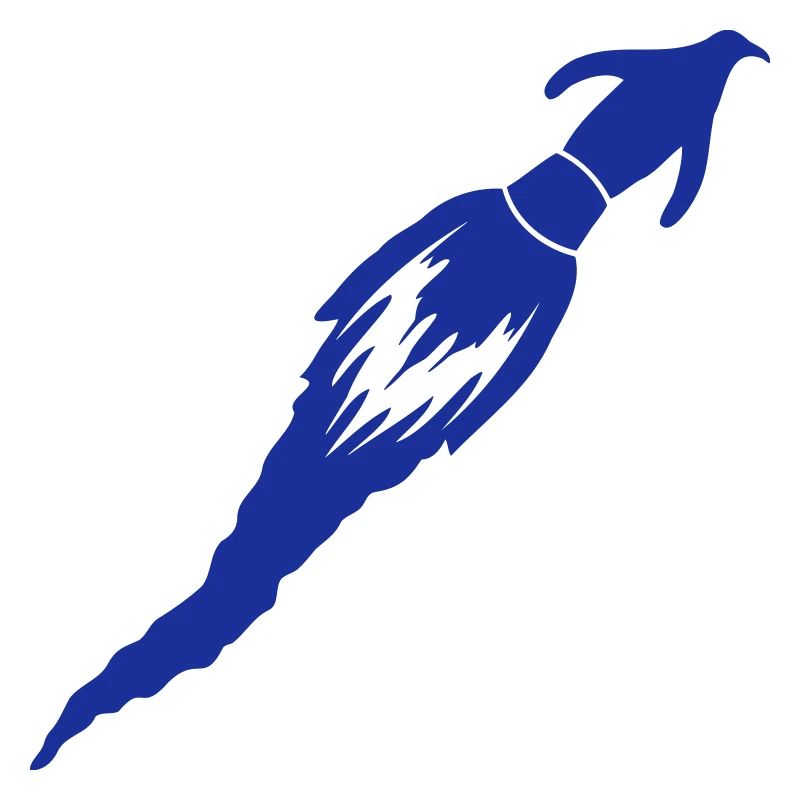 Funny Penguin Rocket Fire Fun Flight Flying