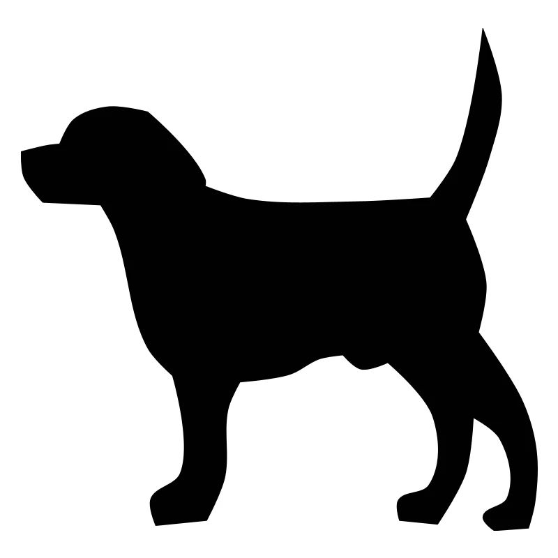 Cane