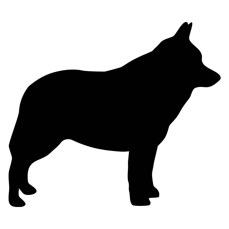 Schipperke