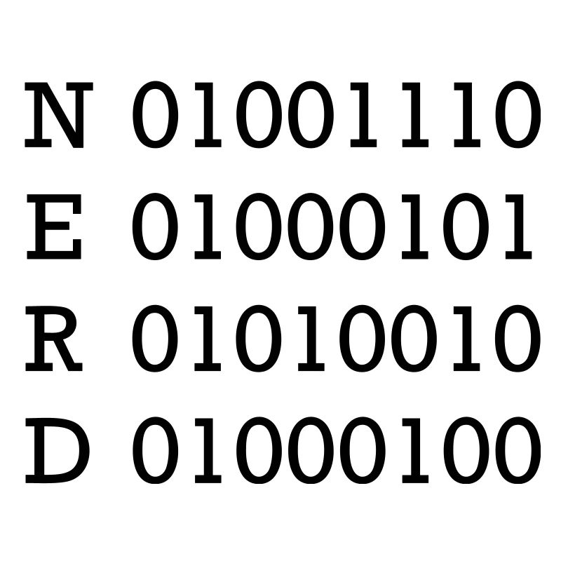 binary nerd
