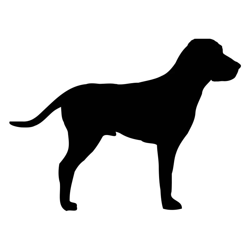 Chien