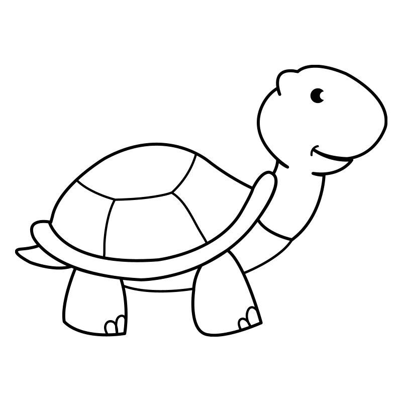 tortue