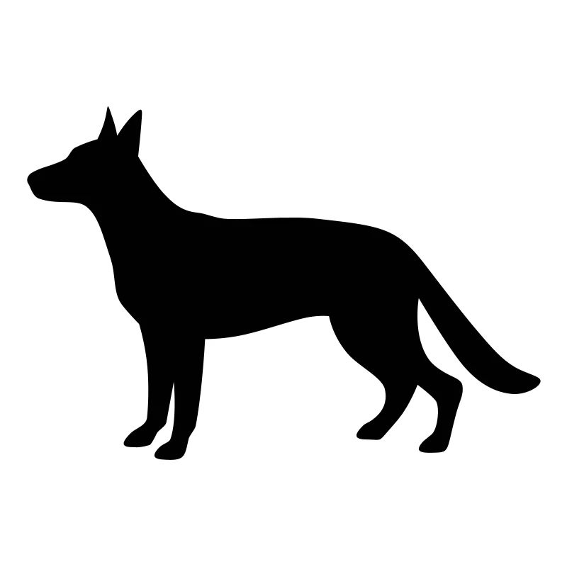 Schäferhund, gerader Rücken