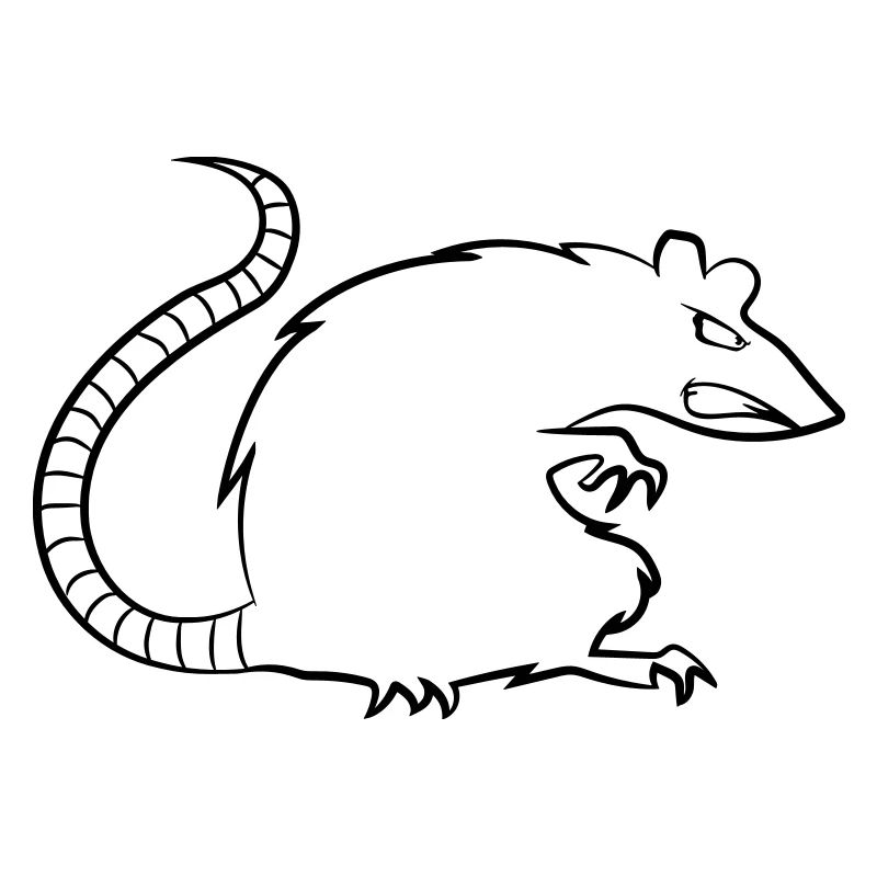 Rat mal effrayant cool