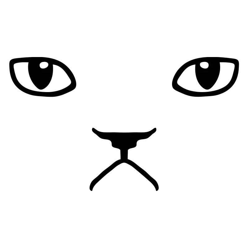 chat pas content grumpy kitty cat