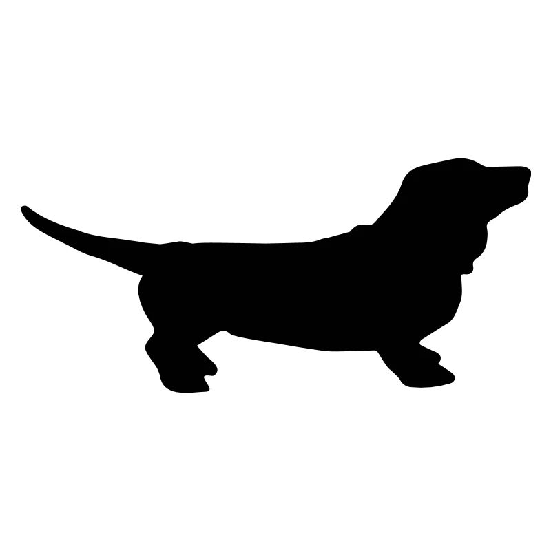 sausage dog