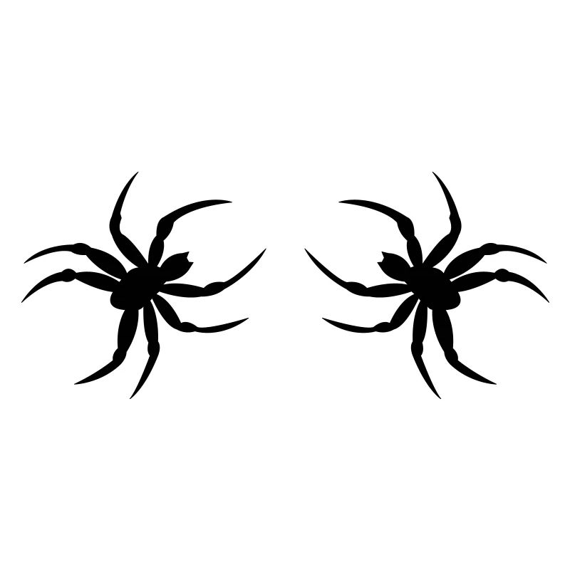 spinne02