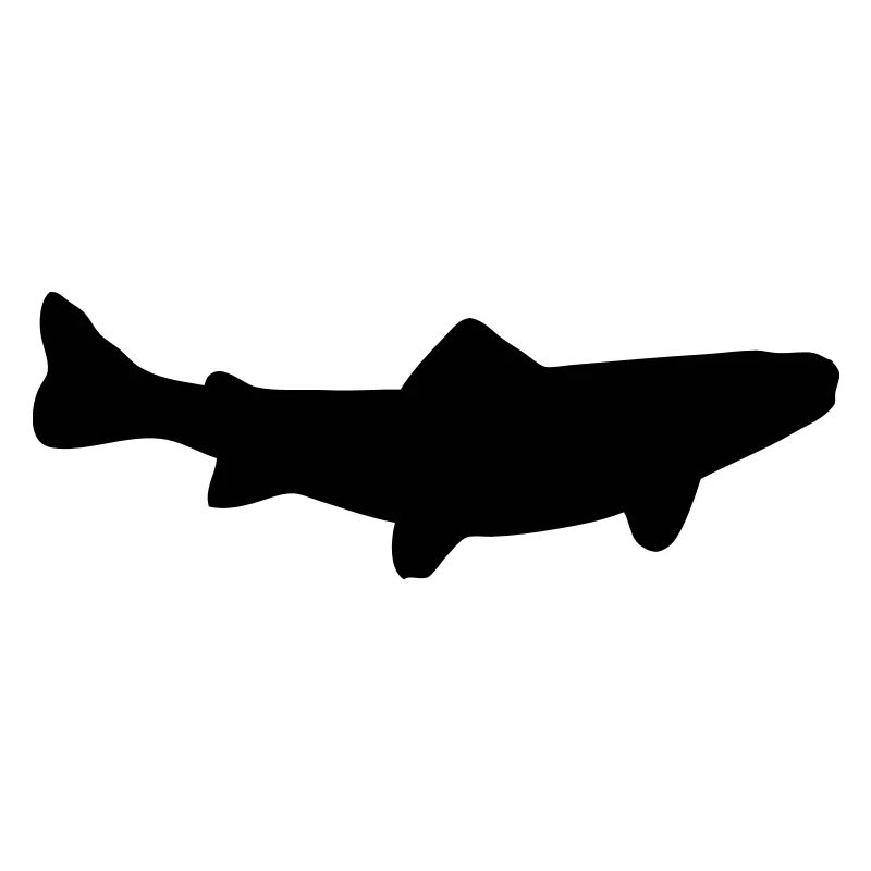 Bachforelle - Fisch - Fish