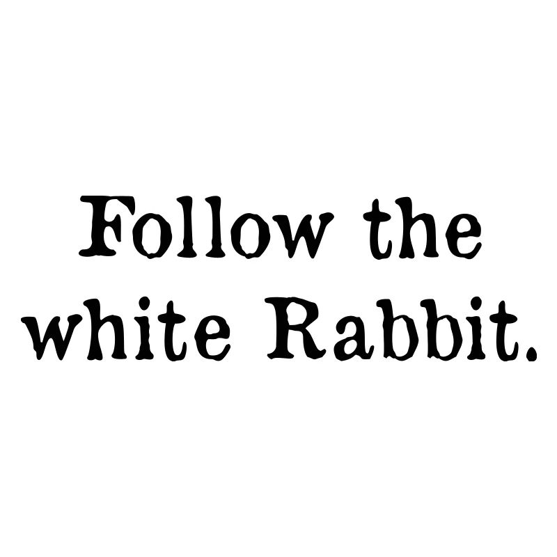 Follow the white Rabbit