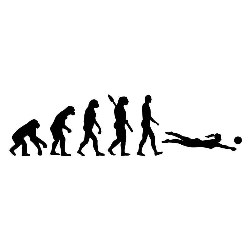 Evolution Beachvolleyball