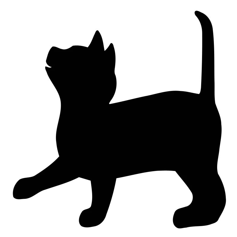 cat4