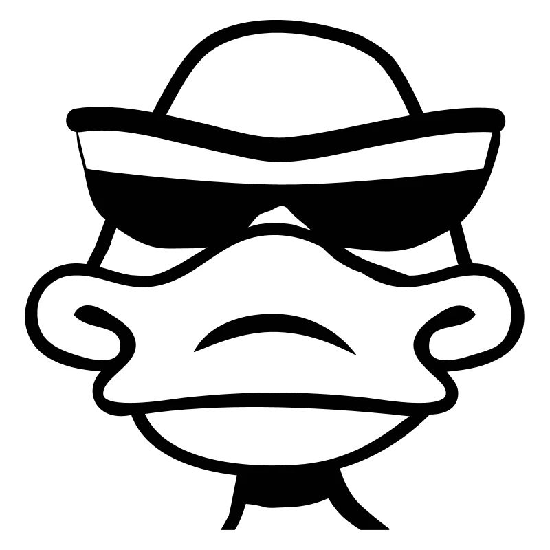 Duck sunglasses cool