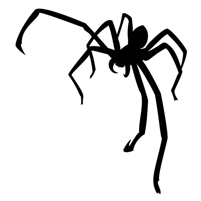 Huntsman Spider