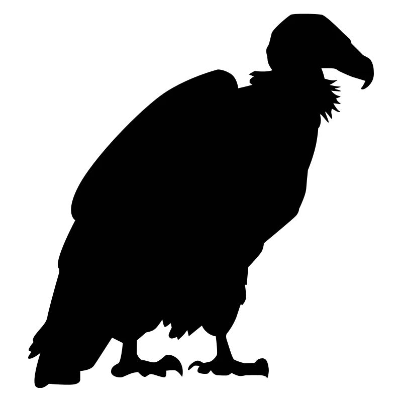 Vulture