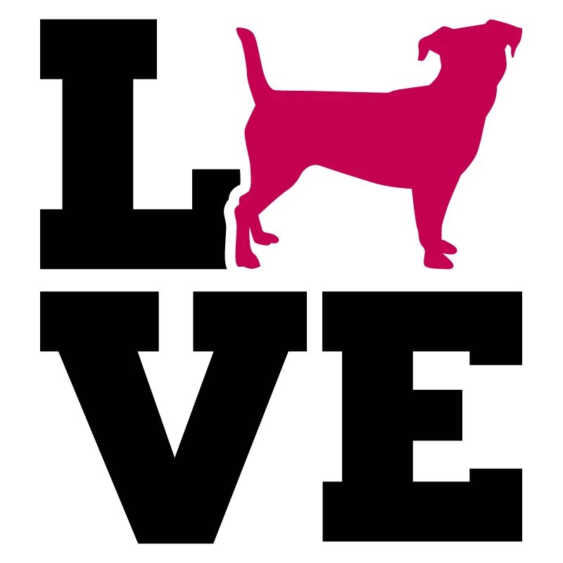 Jack Russell Terrier