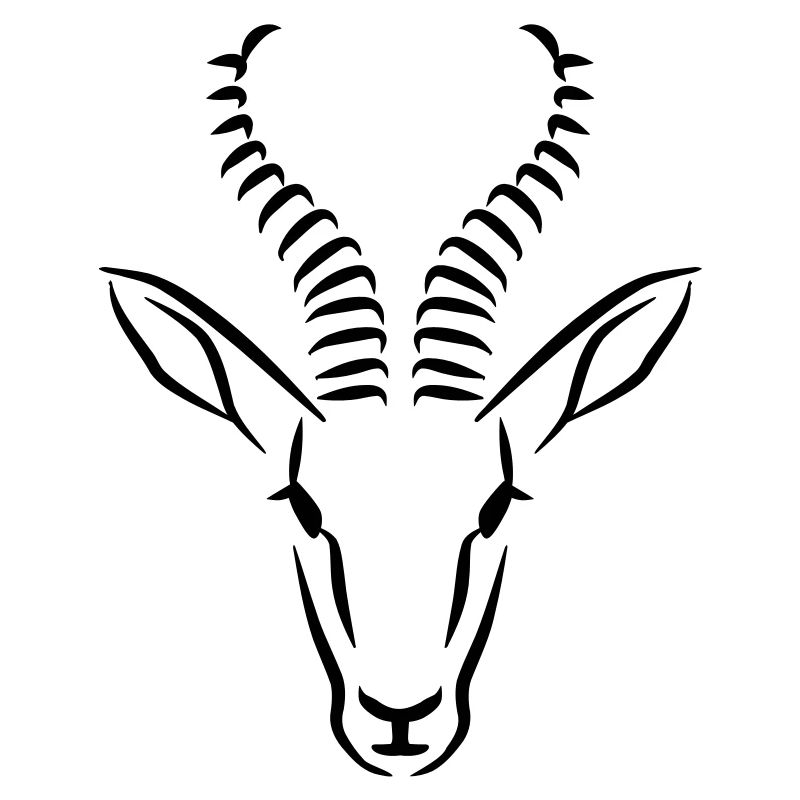 Springbok