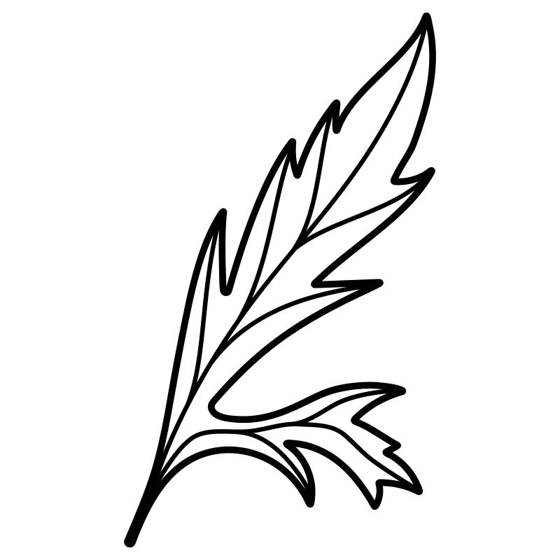 Fleur de pavot