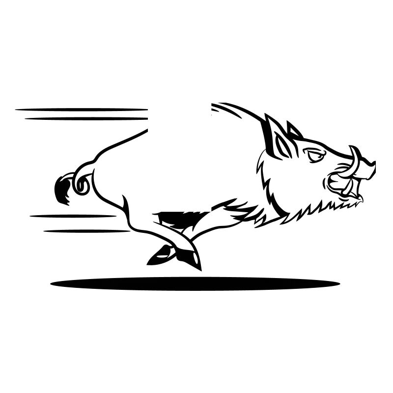 course de sanglier