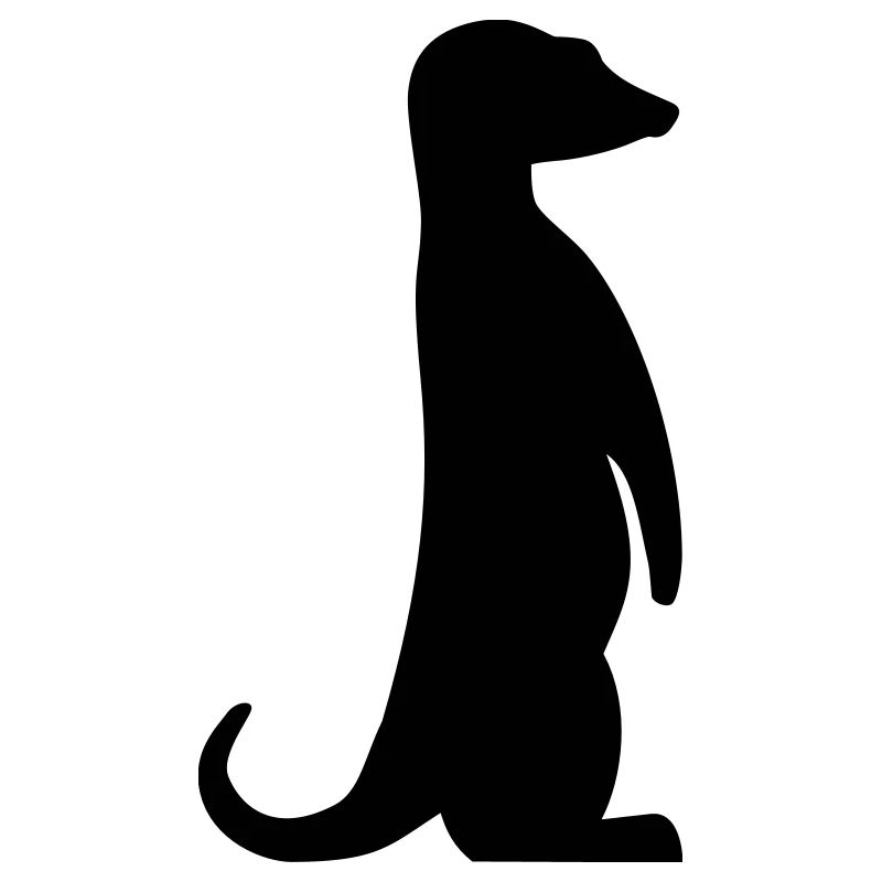 Erdmännchen