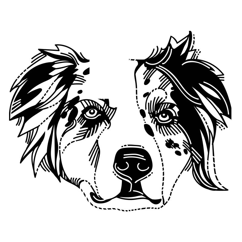 Australian Shepherd