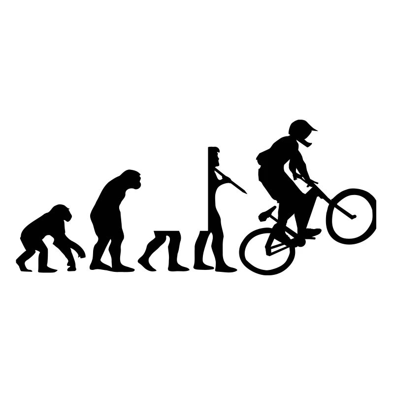 Evolution Mountain Bike