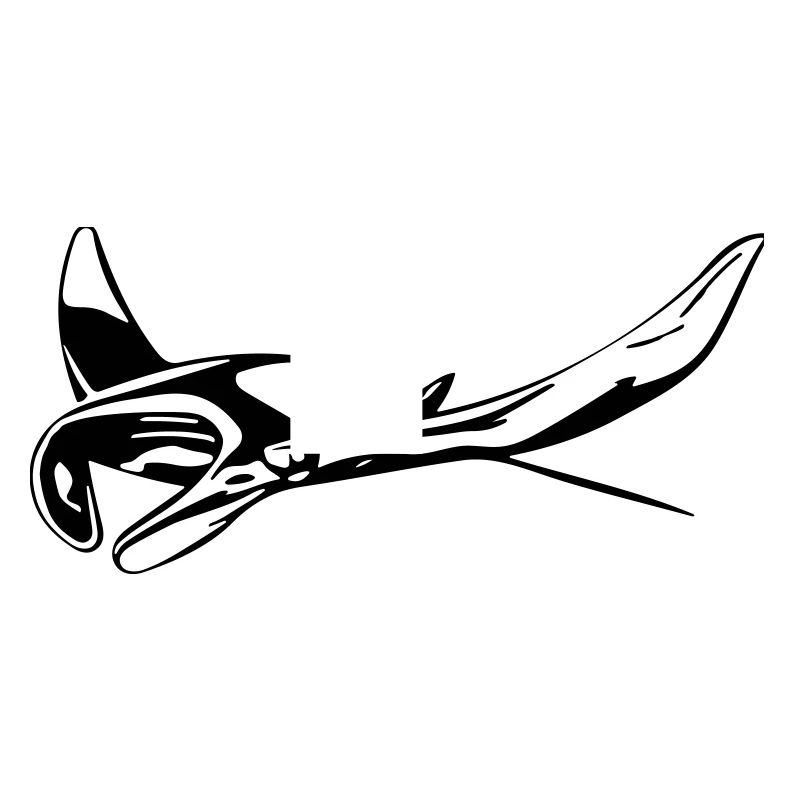 Manta Rochen
