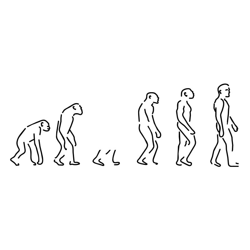 Evolution