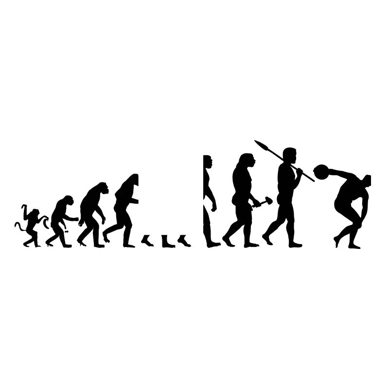 Evolution Diskuswerfer Silhouette Geschenk Shirt