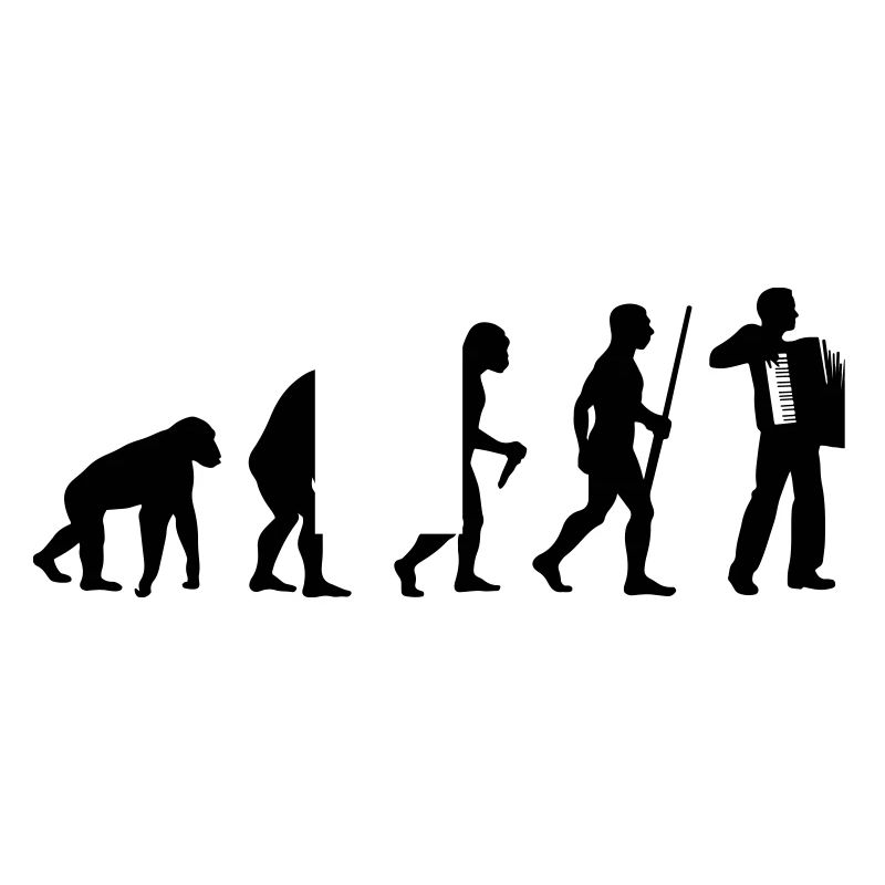 Akkordeon Evolution
