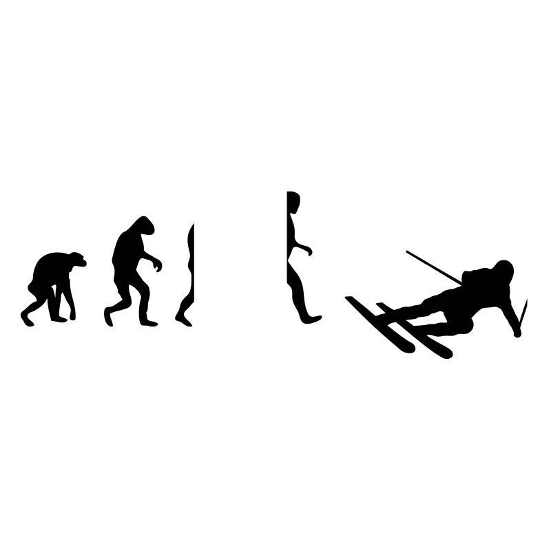 ski evolution