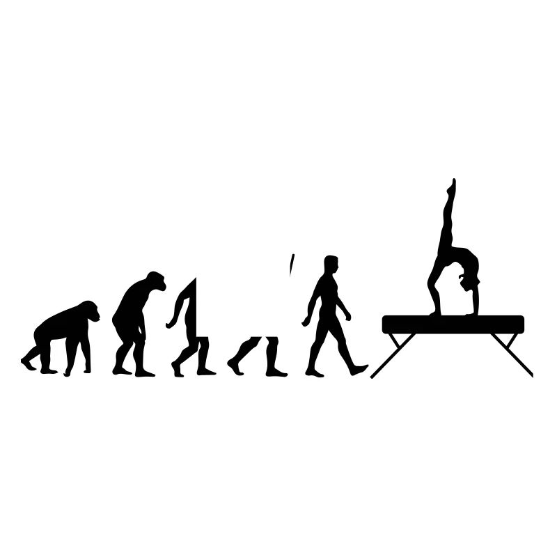 Evolution Schwebebalken