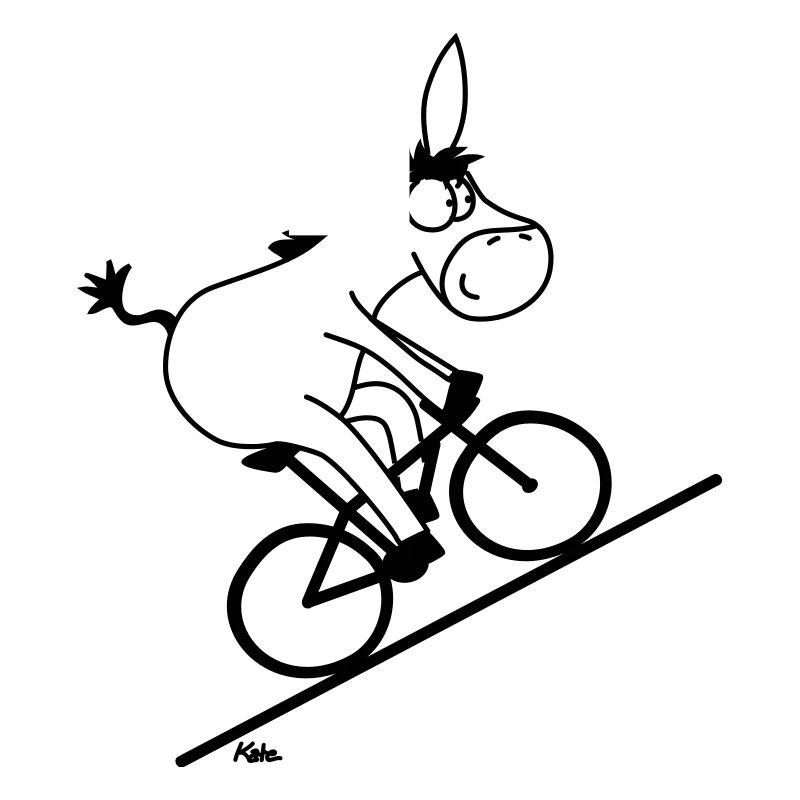 Boneshaker