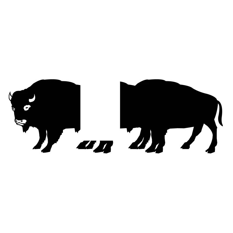 bisons