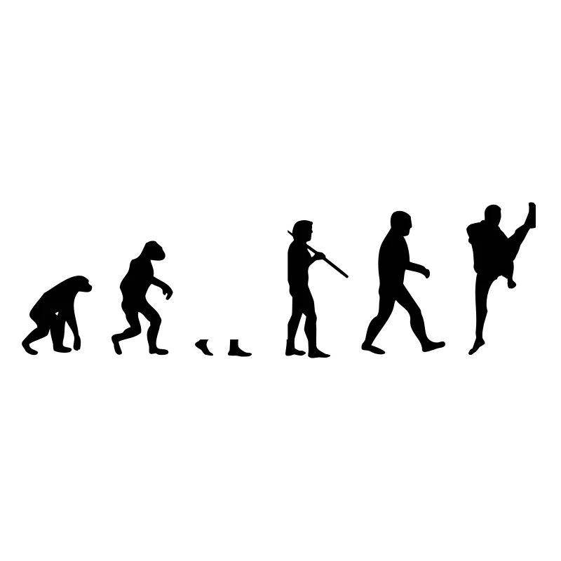 Martial Arts Evolution