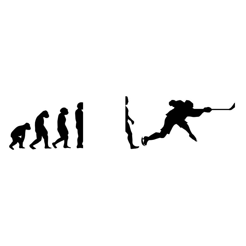evolution hockey